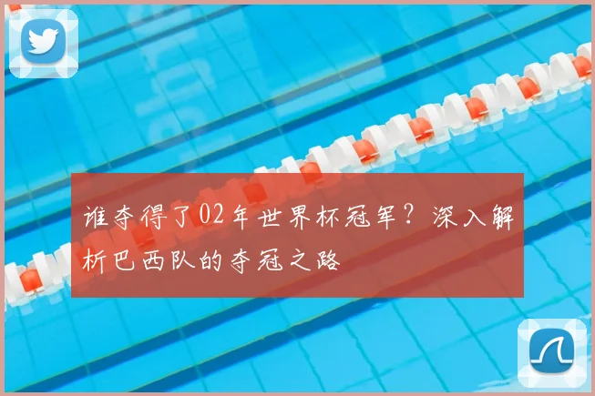 谁夺得了02年世界杯冠军？深入解析巴西队的夺冠之路