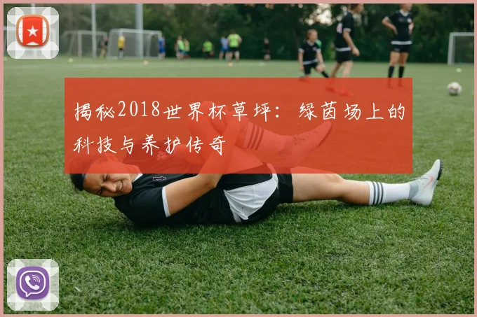 揭秘2018世界杯草坪：绿茵场上的科技与养护传奇