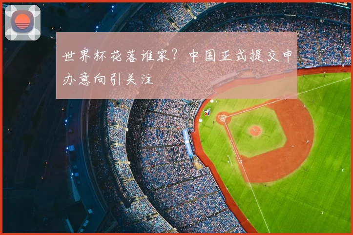 世界杯花落谁家?中国正式提交申办意向引关注