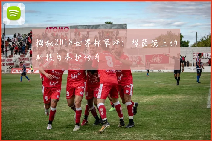 揭秘2018世界杯草坪：绿茵场上的科技与养护传奇