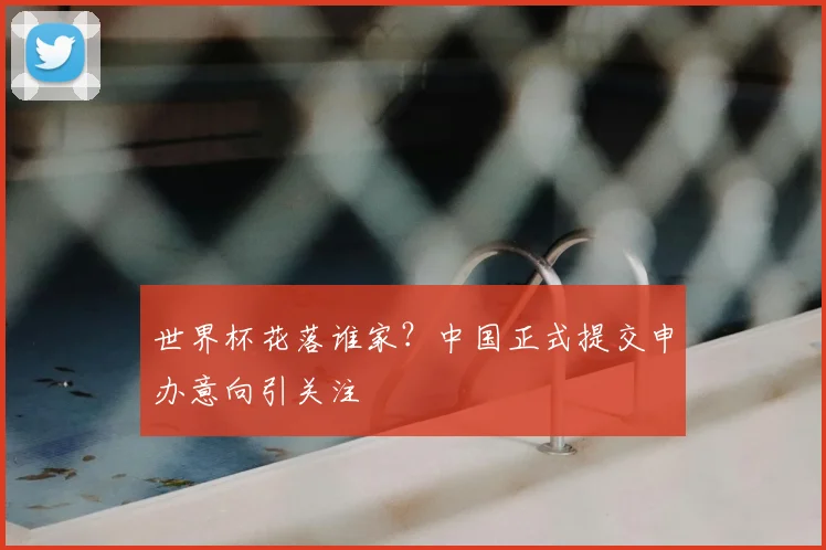 世界杯花落谁家?中国正式提交申办意向引关注