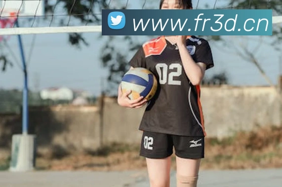 kaiyun体育最新登录地址APP 封面图